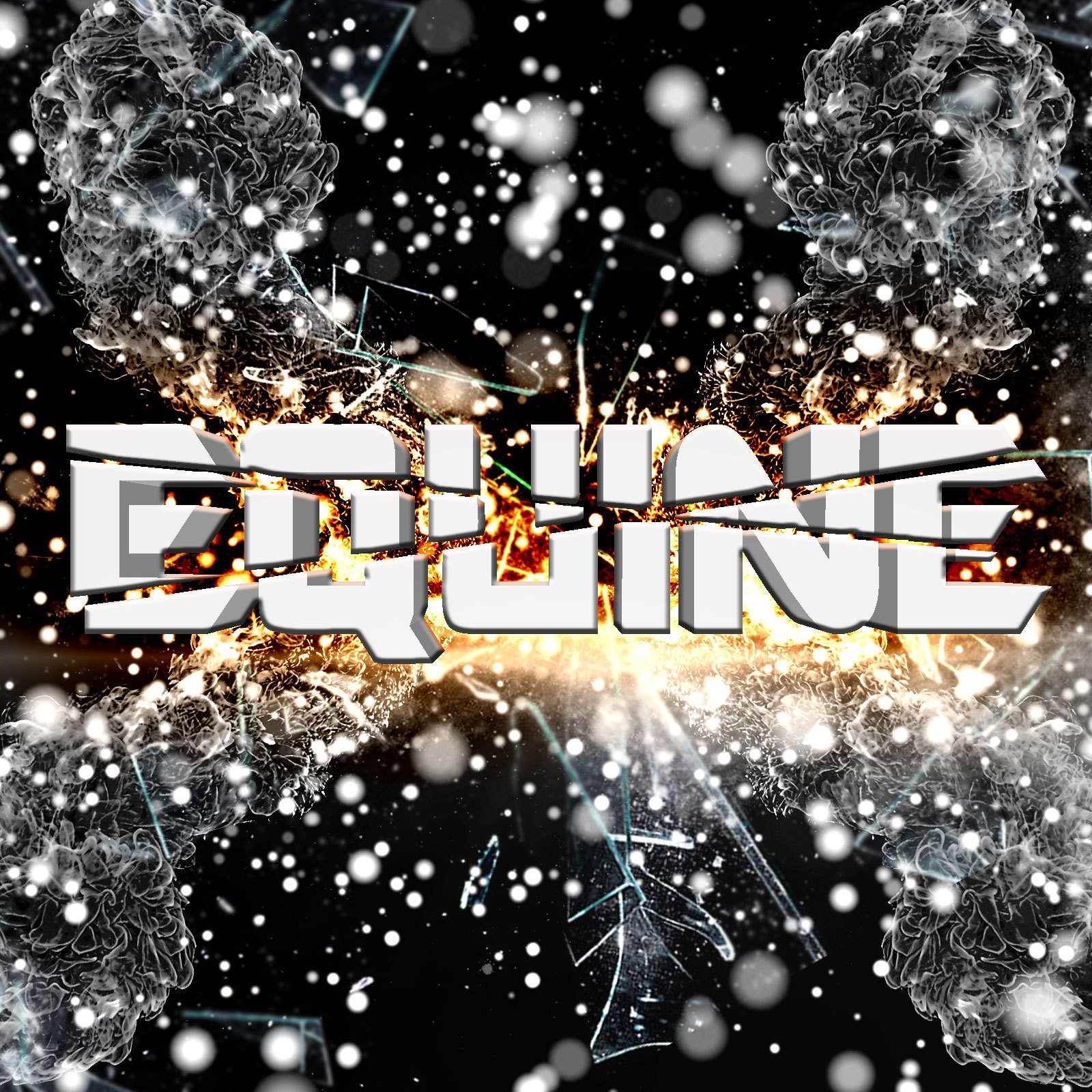 ReverbNation profile picture for @equine