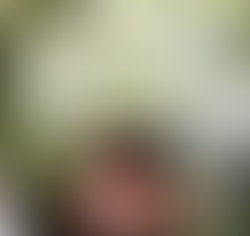 56502c23 8d06 4f35 898c 75353eb98818