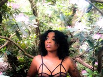 Shannon Arianna