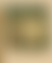 34100ac2 c5b8 48c1 a798 f616527b990a