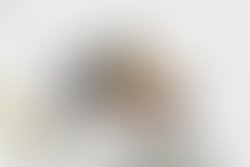 Artist 5684436 1512589473