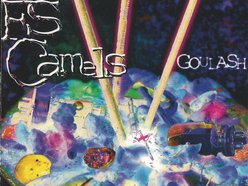 Milwaukee's FS CAMELS