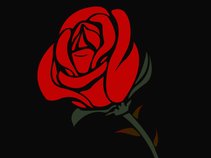 CandyRose
