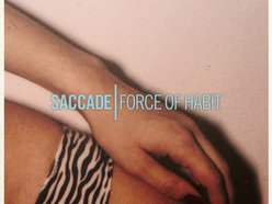 Image for Saccade