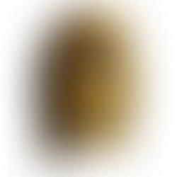 Artist 569347 1541000615