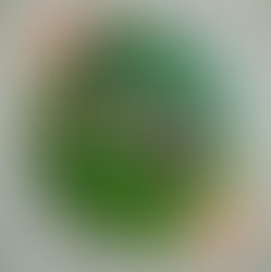 53825930 358078285039359 7141499657888202752 n