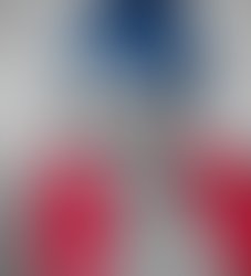 Aviary image 1557278607311