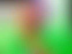 67a61683 2447 4c8e 8dde c9852268f87f 2315 000001d880c0a317