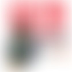 Picsart 01 27 10 19 36