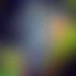 14590503 372464189810348 2133914868308993217 n