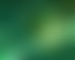 State of man back panel