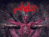 HARVEST CULT