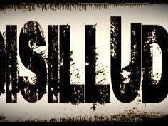 Image for Disillude