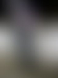 B2e20b79 631d 4d0a b397 8b99e49e8457