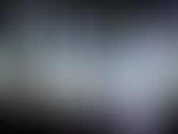 Fb img 1544454588833