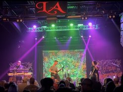 Image for Purple Monkey