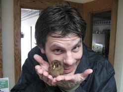 Image for Comedian Nathan Timmel