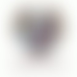Wpfa logo good