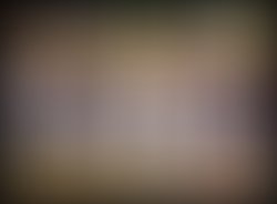 15356635 928033424000833 5190057427454322489 n