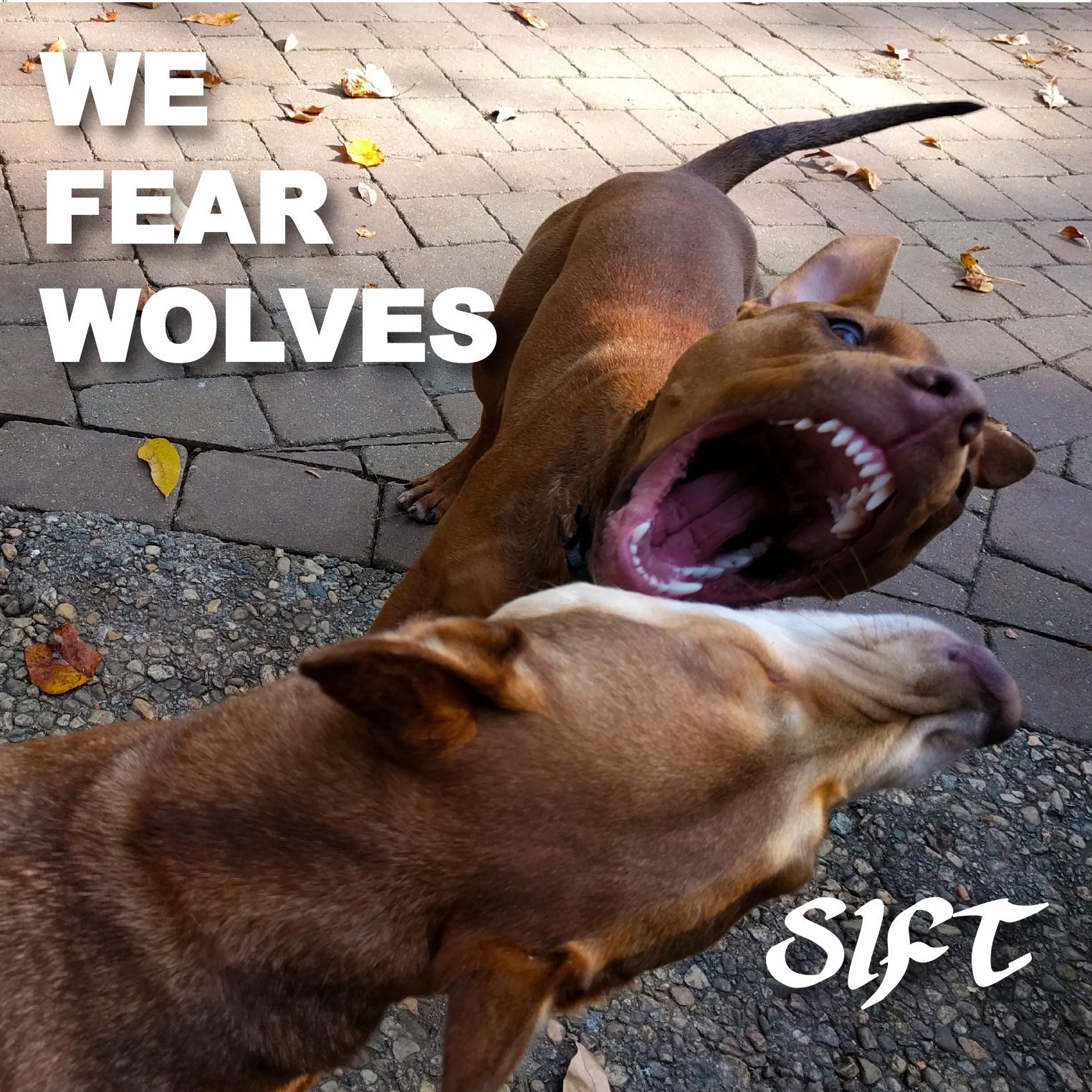 ReverbNation profile picture for @sift