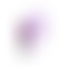 Adobe 20170405 113711