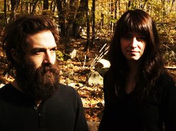 Image for Brown Bird