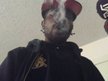 CHEFFIE/ PURESTAMINA.ENT