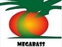 Dj Megabass