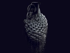 Image for Voltera
