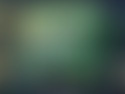 894ead52 eddf 4925 81fb 37377895b862 225 0000000551357a86