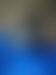 17634310 396116130762517 9057257138551611513 n