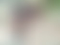 0ac6847a841eb8b327bfbaa7d1b98f54
