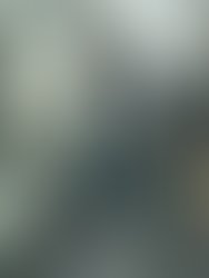 10441263 734227986642939 863216300918778046 n