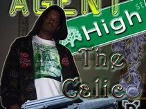 Agent High The Calico