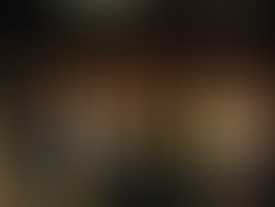 Artist 5773686 1580401004