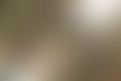 Image e34574d3fb08ecd15c8f0097040579a3