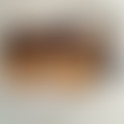 Joeybeef logo new good