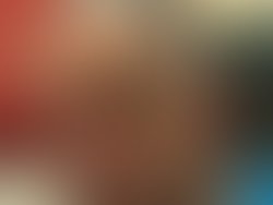 8512dcce99e5fe3a3ffbde4f9eb02210f3d09774