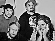 Bat Wings for Lab Rats