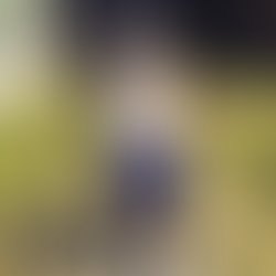 Artist 5794085 1495318622