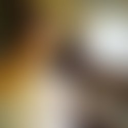 Artist 5797764 1500303929