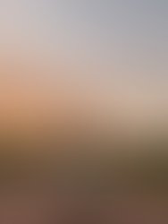 403cd63c 7bf1 4e12 975c 8d53ea609ff1