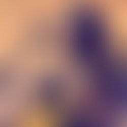 544ec8e1e46cd4e9d45207b21c688f6194c8016b