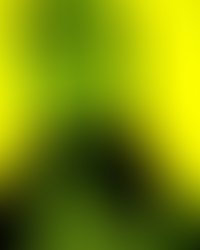 Artist 580321 1583345060