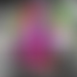 1451087689 aviary 1442799660507