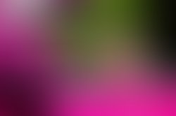 7f725fbe04370cb9b35e1dba3a741343e774f2a2