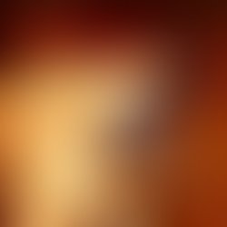 Bindles album cover2