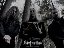 Livsnekad