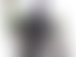 Artist 5830566 1498077505