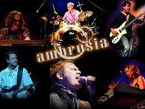 Ambrosia